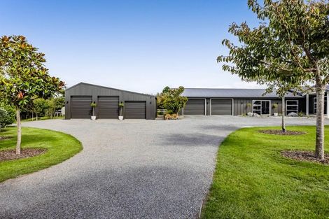 Photo of property in 423 Cardiff Road, Pembroke, Stratford, 4391