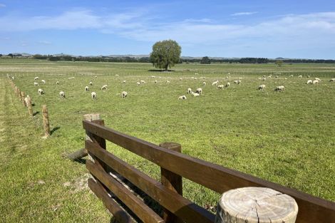 Photo of property in 96 Farm Road, Waipukurau, 4284