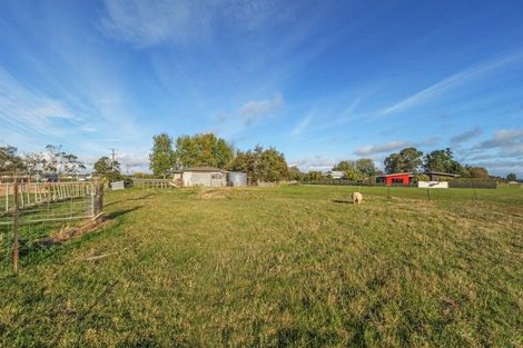 Photo of property in 55 Roots Street East, Feilding, 4702