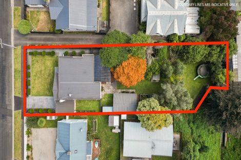 Photo of property in 80 Rimu Street, Maeroa, Hamilton, 3200