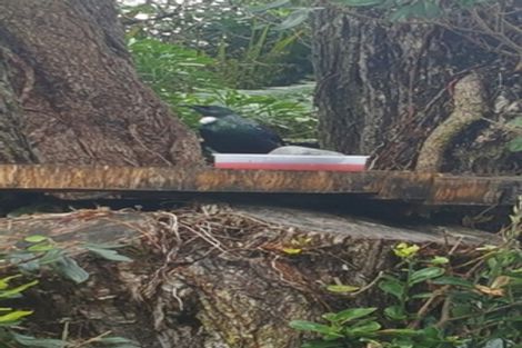 Photo of property in 6e Forest Glen, Orewa, 0931