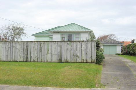 Photo of property in 30 Graham Street, Levin, 5510
