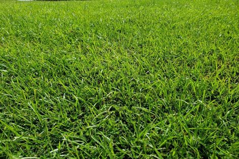 Photo of property in 11 Edwin Grove, Bethlehem, Tauranga, 3110