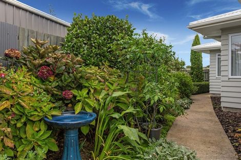 Photo of property in 27a2 Churchill Street, Whakatane, 3120
