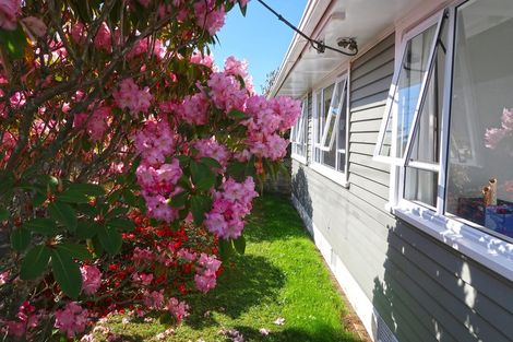 Photo of property in 28 Brecon Road, Stratford, 4332