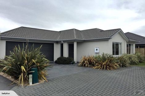 Photo of property in 62 Mahlet Street, Northwood, Christchurch, 8051