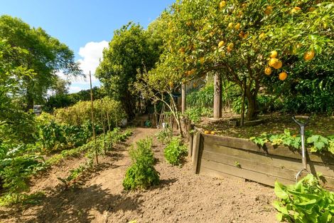 Photo of property in 20r Panorama Drive, Welcome Bay, Tauranga, 3175