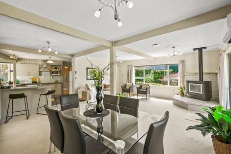 Photo of property in 4 Elizabeth Place, Ferndale, New Plymouth, 4310