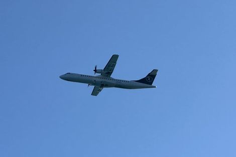 Photo of property in 50 Moa Point Road, Moa Point, Wellington, 6022