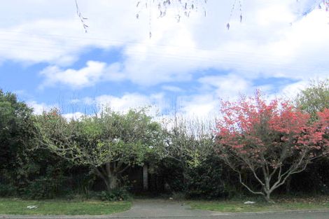 Photo of property in 57 Shepherd Road, Waipahihi, Taupo, 3330