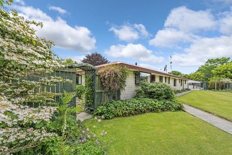 Photo of property in 8 Bridge Street, Southbridge, 7602