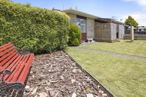 Photo of property in 19b Seyton Street, Stratford, 4332