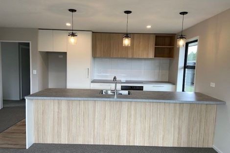 Photo of property in 9 Burrow Street, Rolleston, 7614