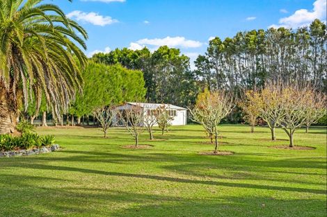 Photo of property in 273 Point Wells Road, Point Wells, 0986