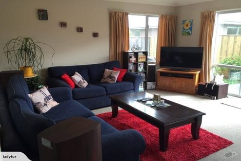 Photo of property in 62 Mahlet Street, Northwood, Christchurch, 8051