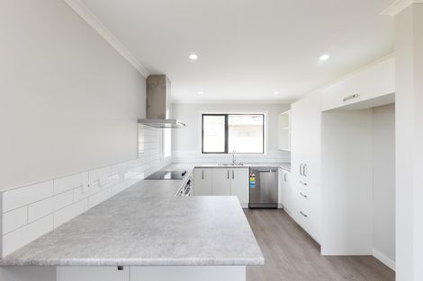 Photo of property in 17 Winchester Street, Levin, 5510
