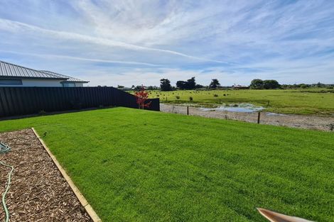 Photo of property in 21 Ranginui Drive, Kaiapoi, 7630