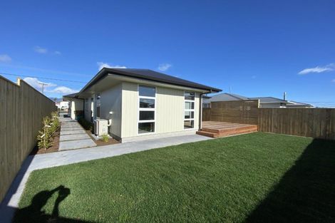 Photo of property in 239a Huatoki Street, Upper Vogeltown, New Plymouth, 4310