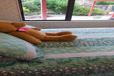 Photo of property in 126 Geraghty Maber Road, Tuakau, 2121