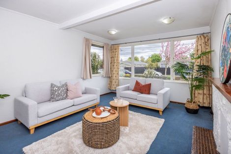 Photo of property in 30 Wake Street, Chartwell, Hamilton, 3210
