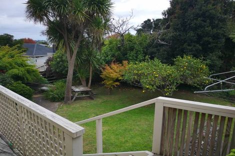 Photo of property in 22 Kaikoura Street, Henderson, Auckland, 0612