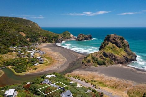Photo of property in 20 Garden Road, Piha, New Lynn, 0772