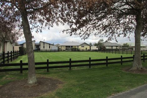 Photo of property in 11 Eldonwood Drive, Matamata, 3400