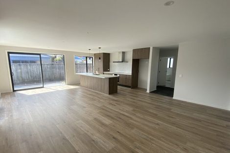 Photo of property in 29 Elizabeth Street, Richmond, 7020