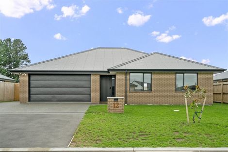 Photo of property in 12 Rufus Street, Rolleston, 7614