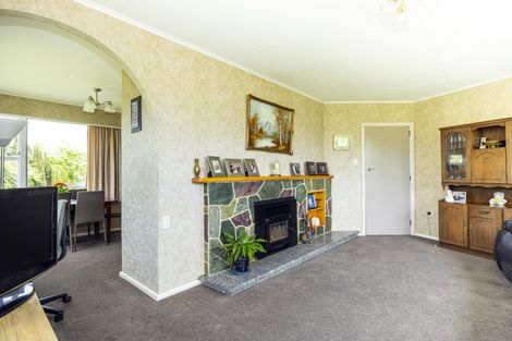 Photo of property in 22 Huffey Street, Geraldine, 7930