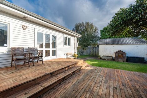 Photo of property in 45 Alfred Street, Fairfield, Hamilton, 3214