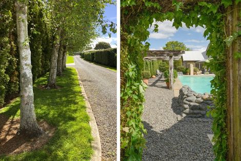 Photo of property in 41a Hollister Lane, Ohauiti, Tauranga, 3112