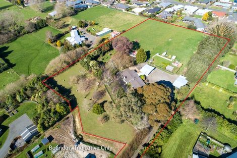 Photo of property in 36 Arnott Street, Feilding, 4702