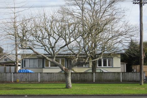 Photo of property in 197 Galloway Street, Hamilton East, Hamilton, 3216