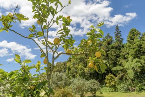 Photo of property in 44a Martray Road, Tahawai, Katikati, 3170