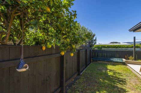 Photo of property in 19 Manhattan Court, Paraparaumu Beach, Paraparaumu, 5032