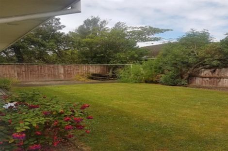Photo of property in 245 Waimairi Road, Ilam, Christchurch, 8041
