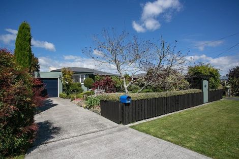 Photo of property in 11 Keats Terrace, Leamington, Cambridge, 3432