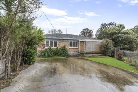 Photo of property in 10 Kiwi Place, Pukekohe, 2120