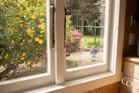 Photo of property in 1430 Kereru Road, Kereru, Hastings, 4171