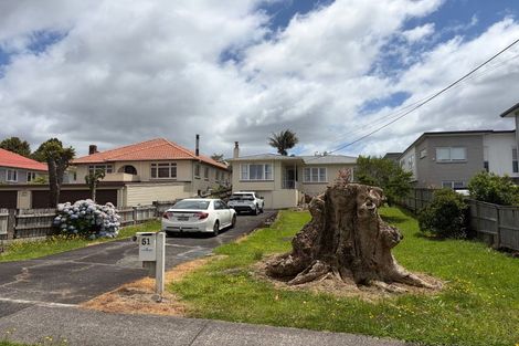 Photo of property in 51 Arawa Street, New Lynn, Auckland, 0600