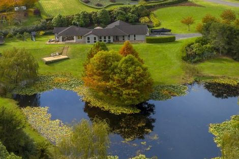 Photo of property in 52r Phillips Drive, Oropi, Tauranga, 3173
