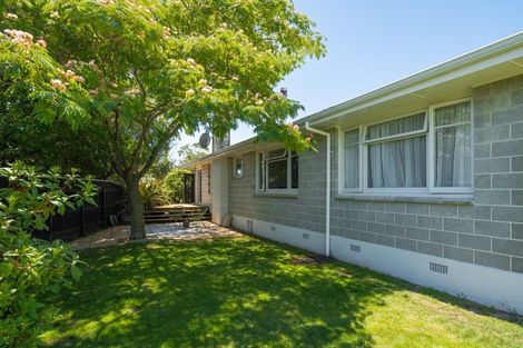 Photo of property in 6 Pope Crescent, Witherlea, Blenheim, 7201