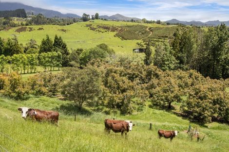 Photo of property in 520 Wright Road, Aongatete, Katikati, 3181