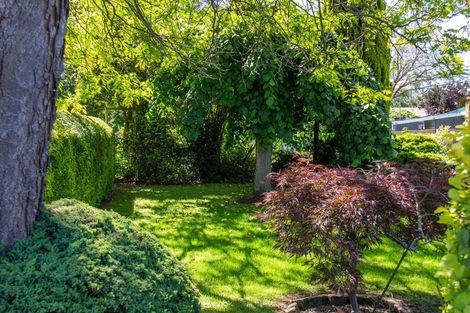 Photo of property in 8 Iorns Street, Masterton, 5810