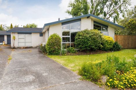 Photo of property in 17 Sandstrom Grove, Feilding, 4702