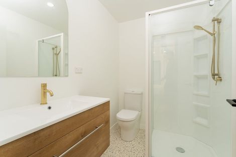 Photo of property in 48 Buccleugh Street, North East Valley, Dunedin, 9010