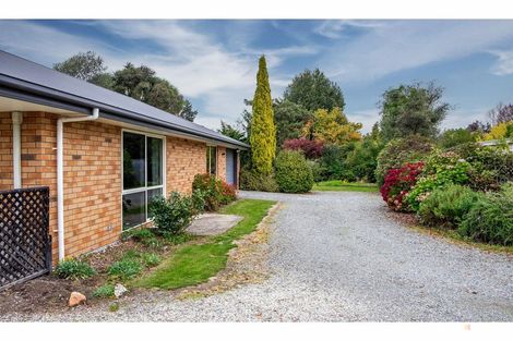 Photo of property in 20a George Street, Geraldine, 7930