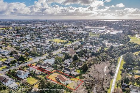 Photo of property in 46 Chislehurst Street, Henderson, Auckland, 0612