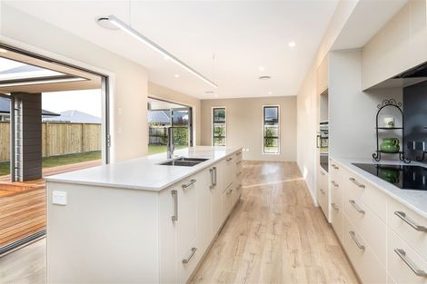 Photo of property in 79 Turnbull Drive, Witherlea, Blenheim, 7201